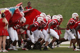 开云·体育官网-中超球队备战训练强度升级，中超各队预备队大名单