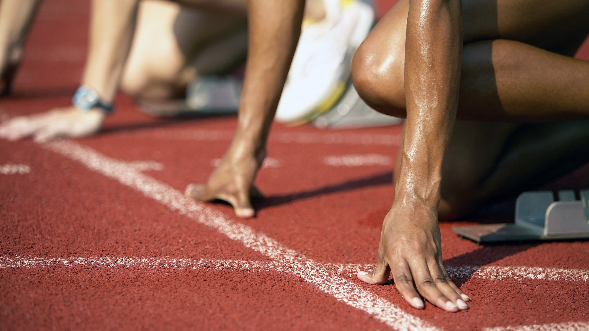 女子排球世锦赛中国队逆转强敌夺冠,女子排球世锦赛几年一届